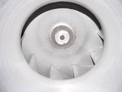 Fan after cleaning